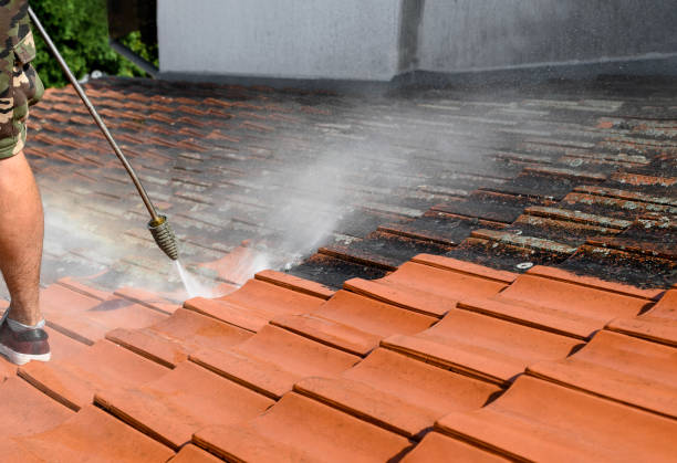 Best Affordable Power Washing  in Caldwell, OH